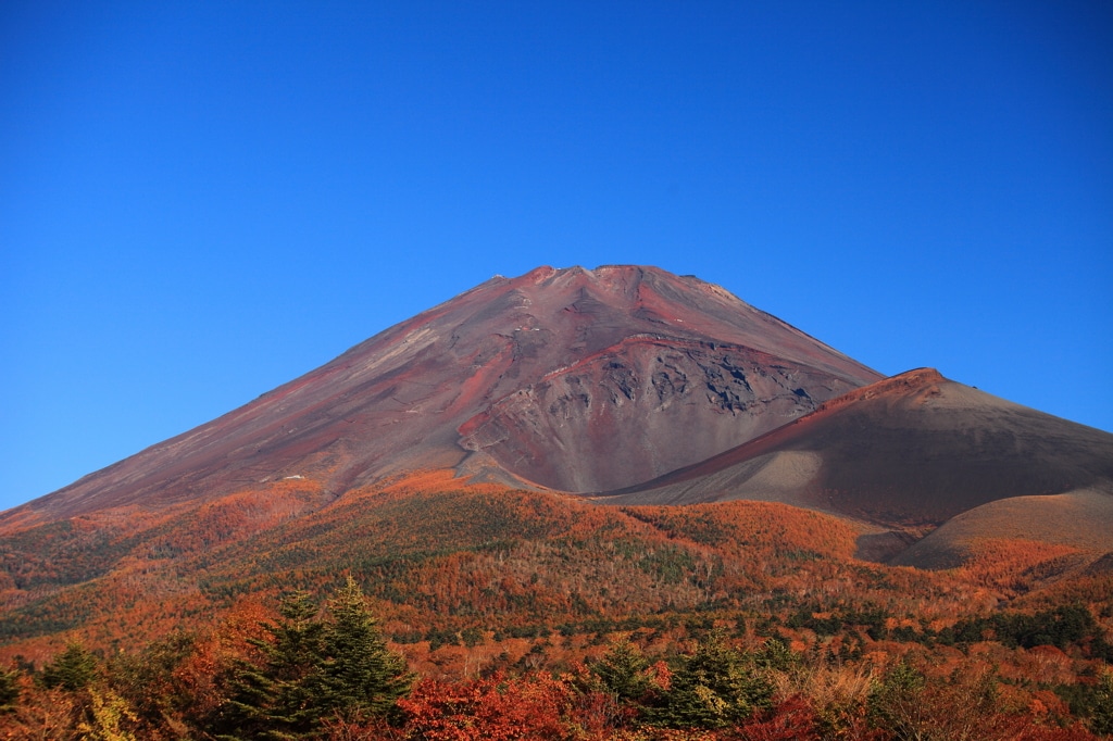 富士山五合目紅葉