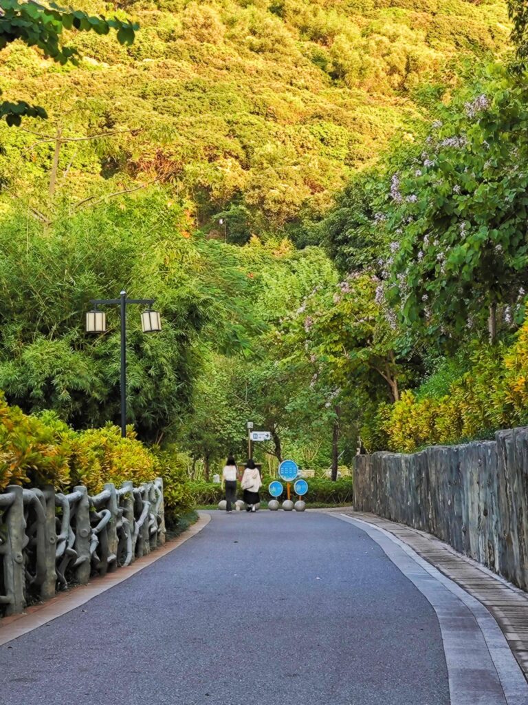 SZ qi long park 3
