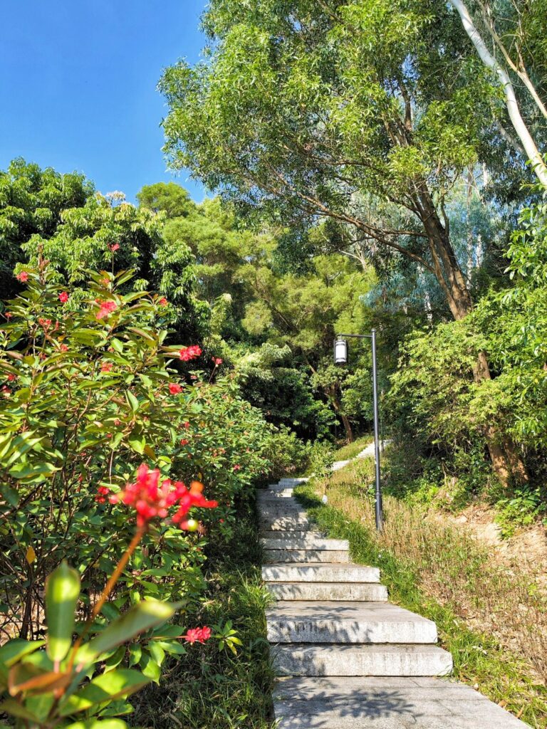 SZ qi long park 4