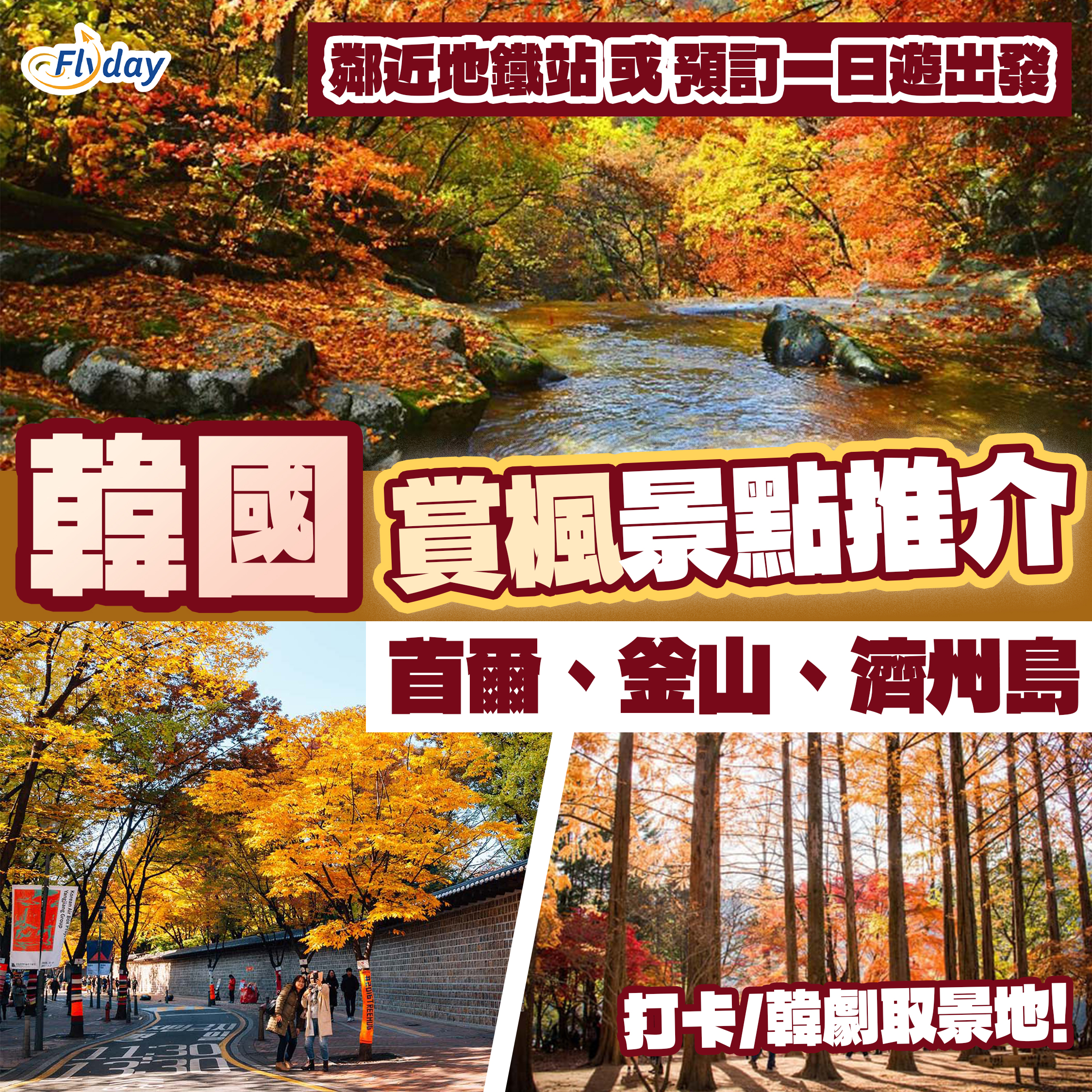 韓國賞楓2024
