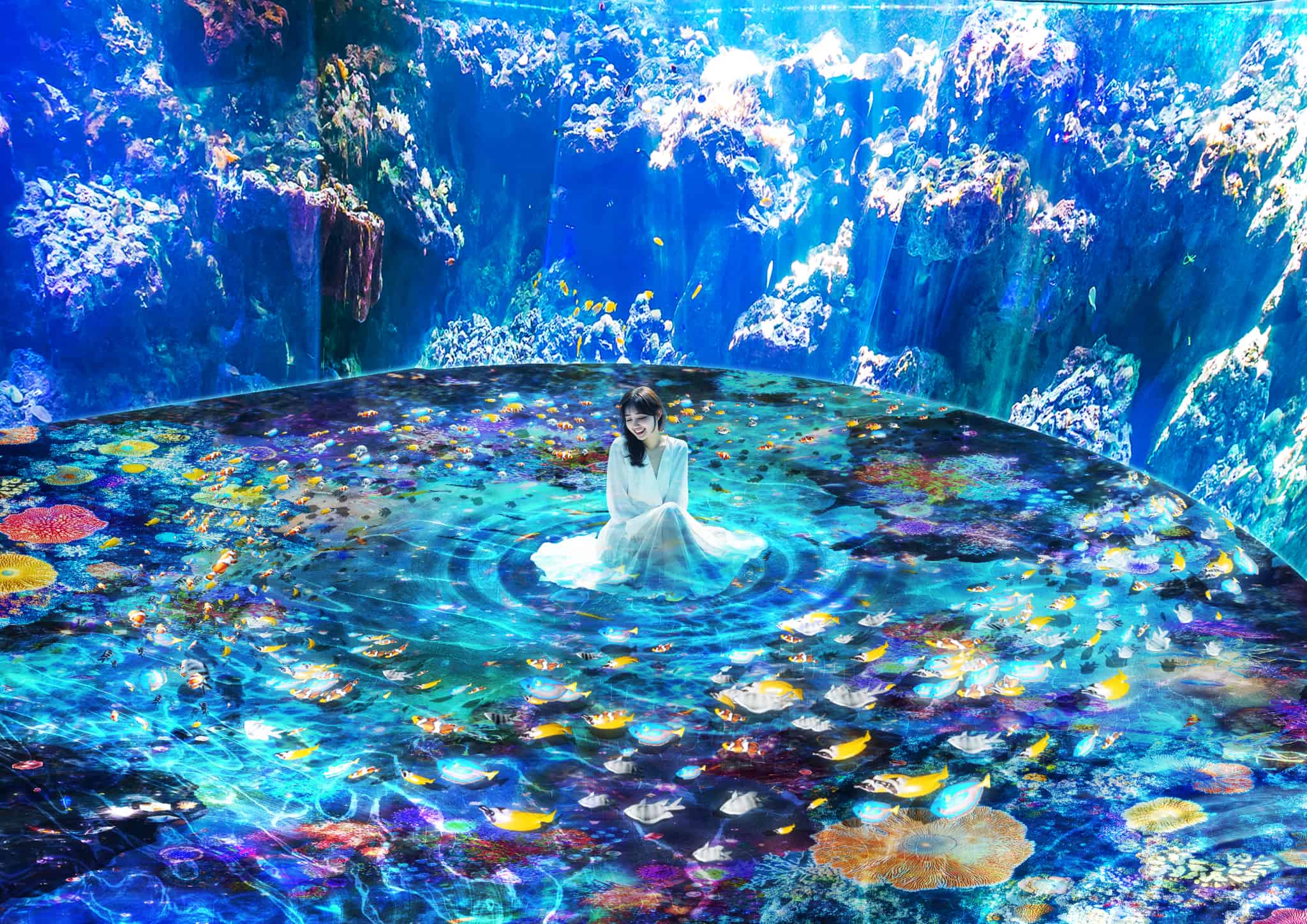 珊瑚之森｜Diving in Coral Sea