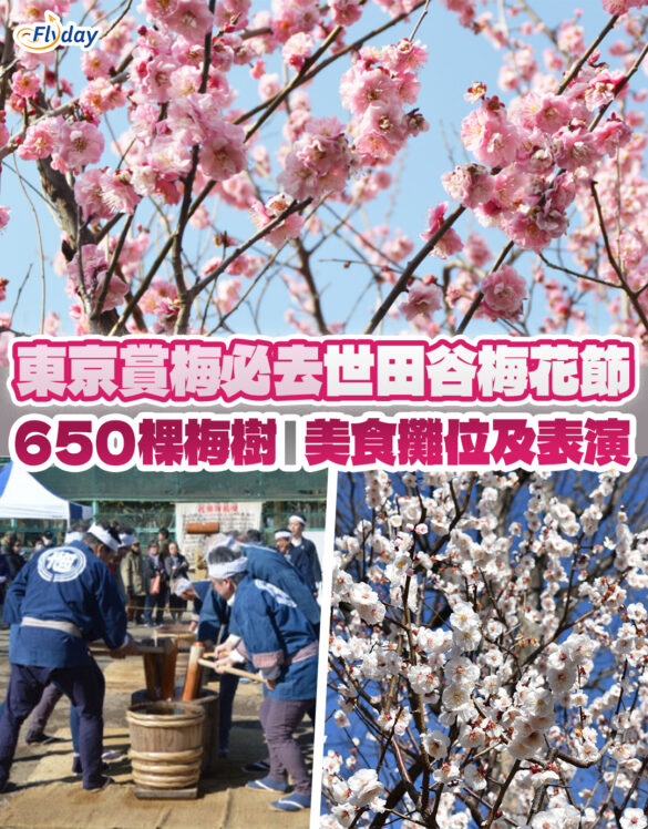 東京世田谷梅花