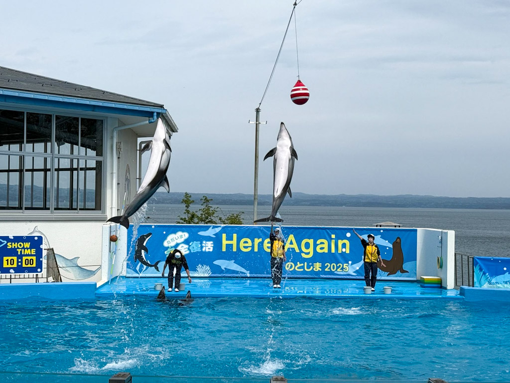 能登水族館 海豚表演