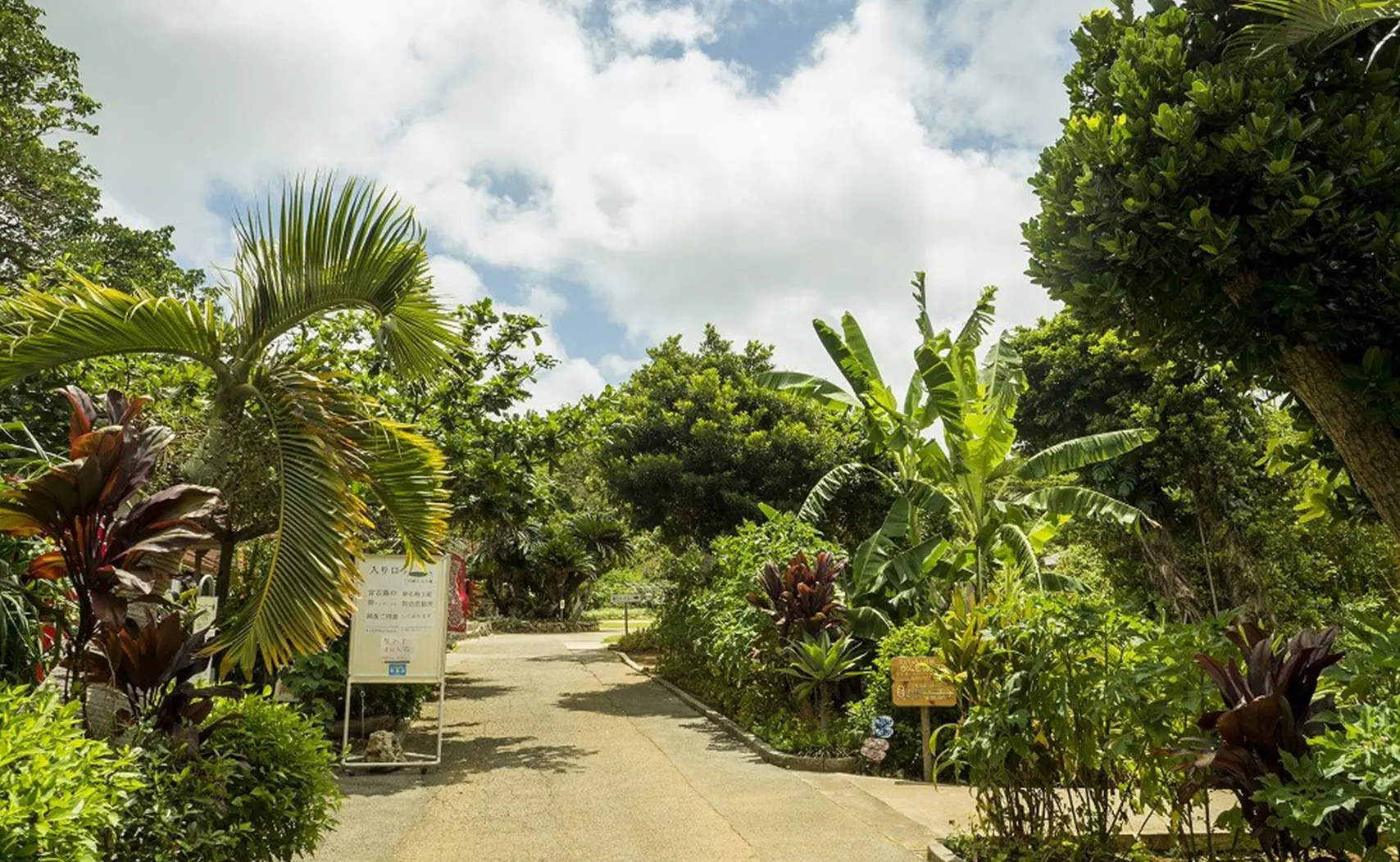宮古島市熱帶植物園