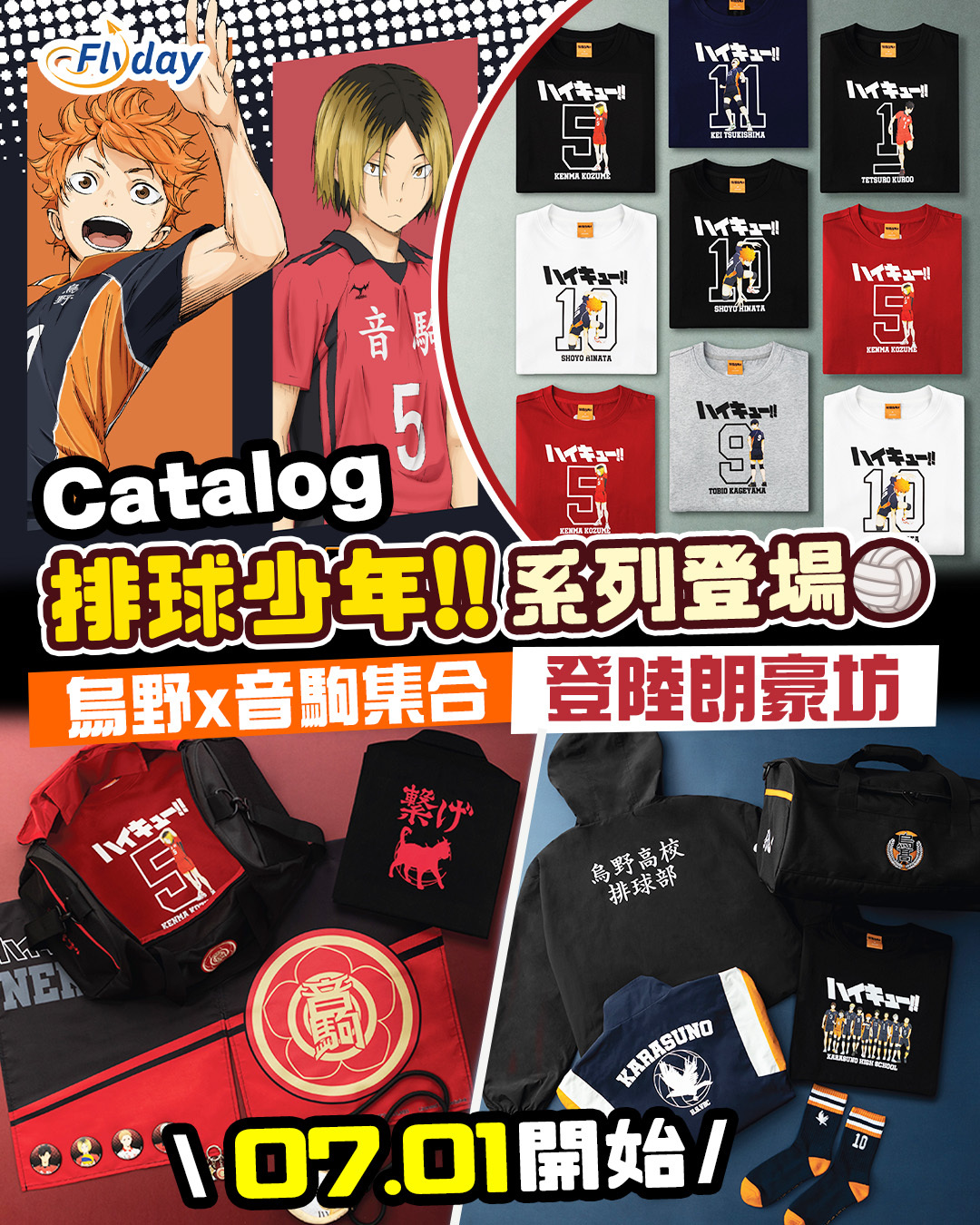 Catalog排球少年!!系列登場