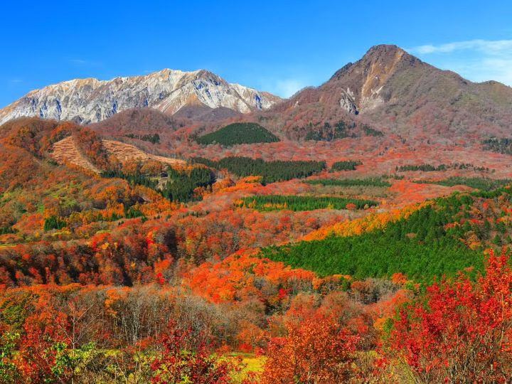 日本鳥取紅葉沙丘跑步團