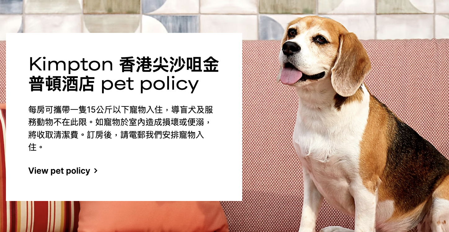 香港金普頓酒店 寵物友善