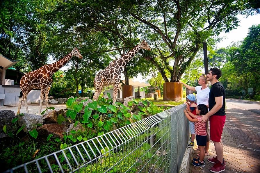 Zoo Negara