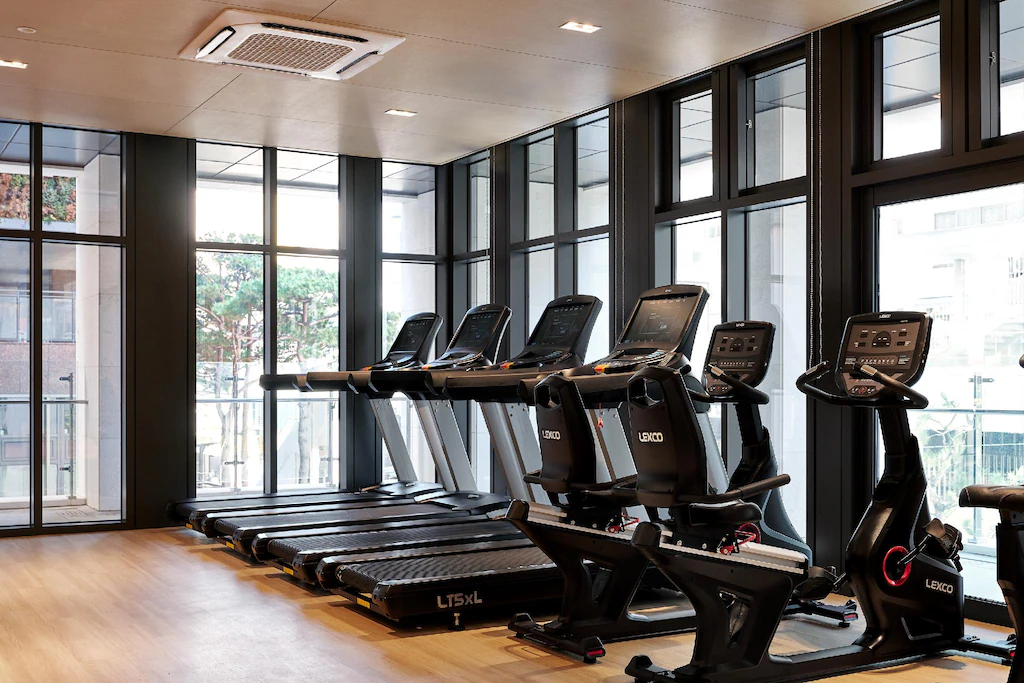 HOTEL THE BOTANIK SEWOON MYEONGDONG gym