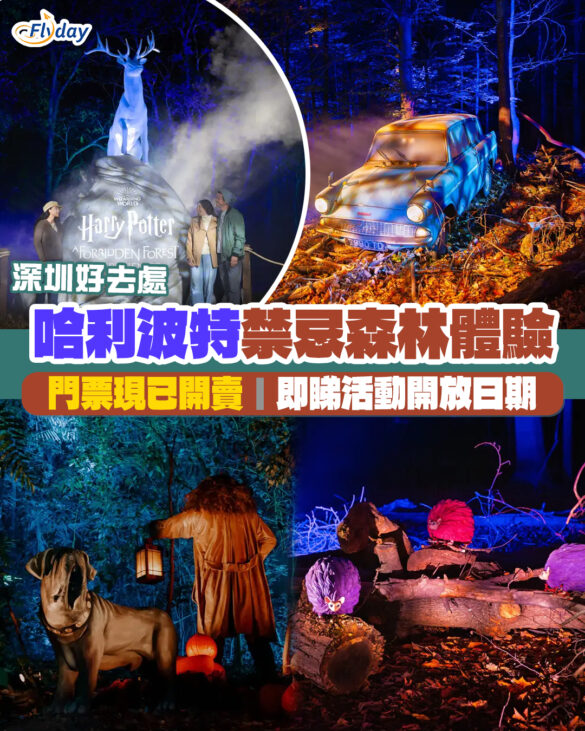 深圳哈利波特｜哈利波特禁忌森林體驗夜遊登陸深圳龍華區