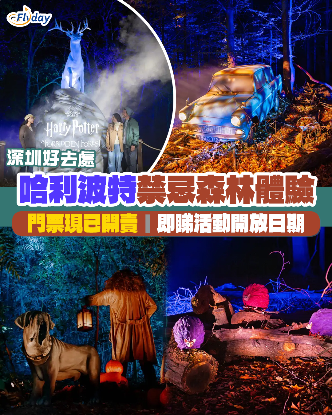 深圳哈利波特｜哈利波特禁忌森林體驗夜遊登陸深圳龍華區