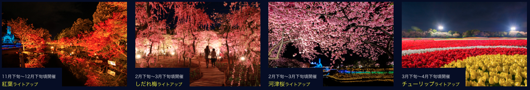 日本名花之里 季節花期