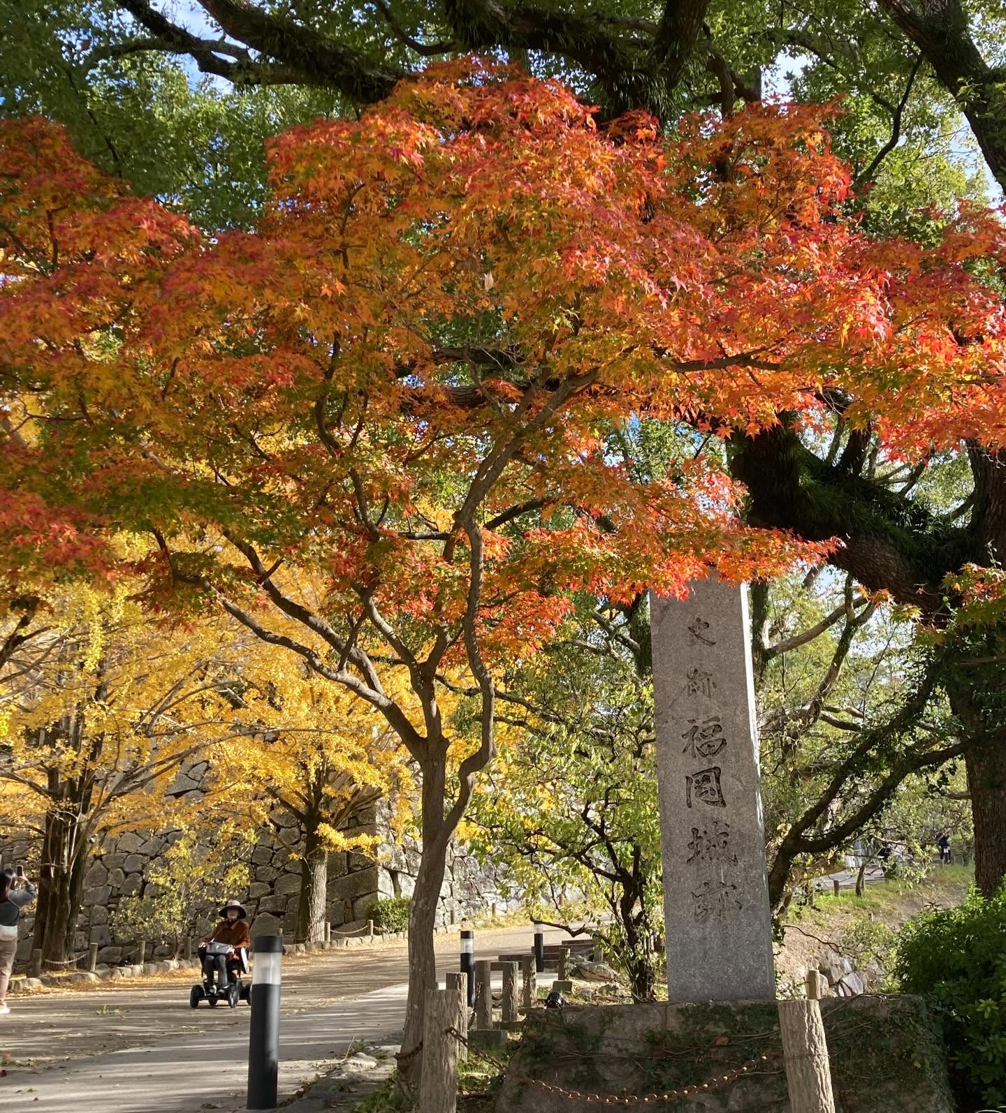 舞鶴公園