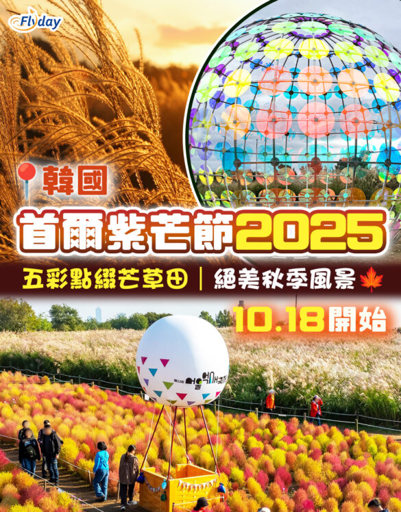 Seoul SilverGrass Festival
