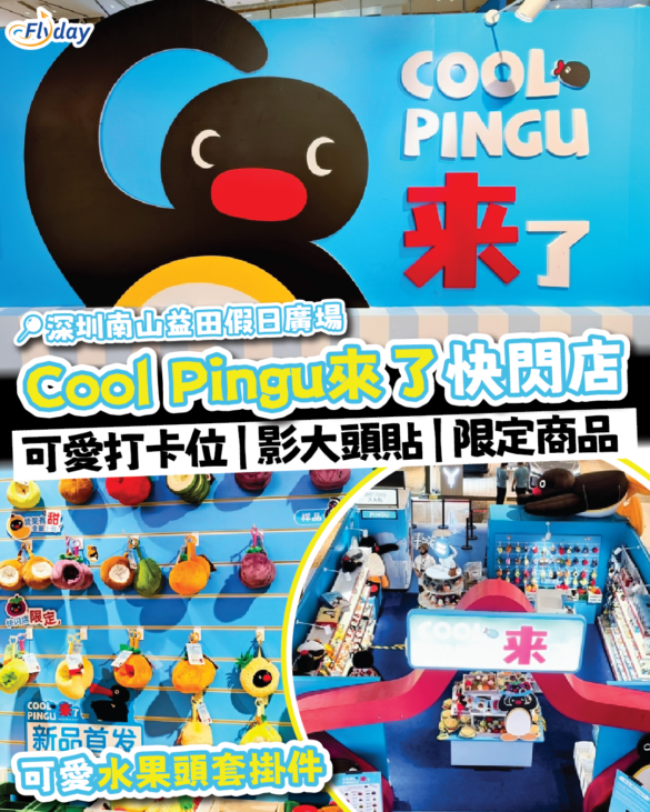 深圳Cool Pingu來了