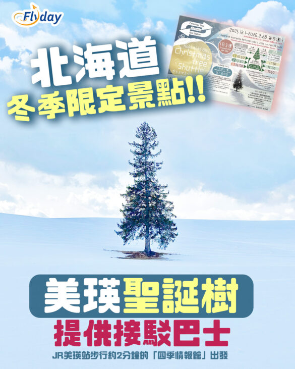 美瑛聖誕樹