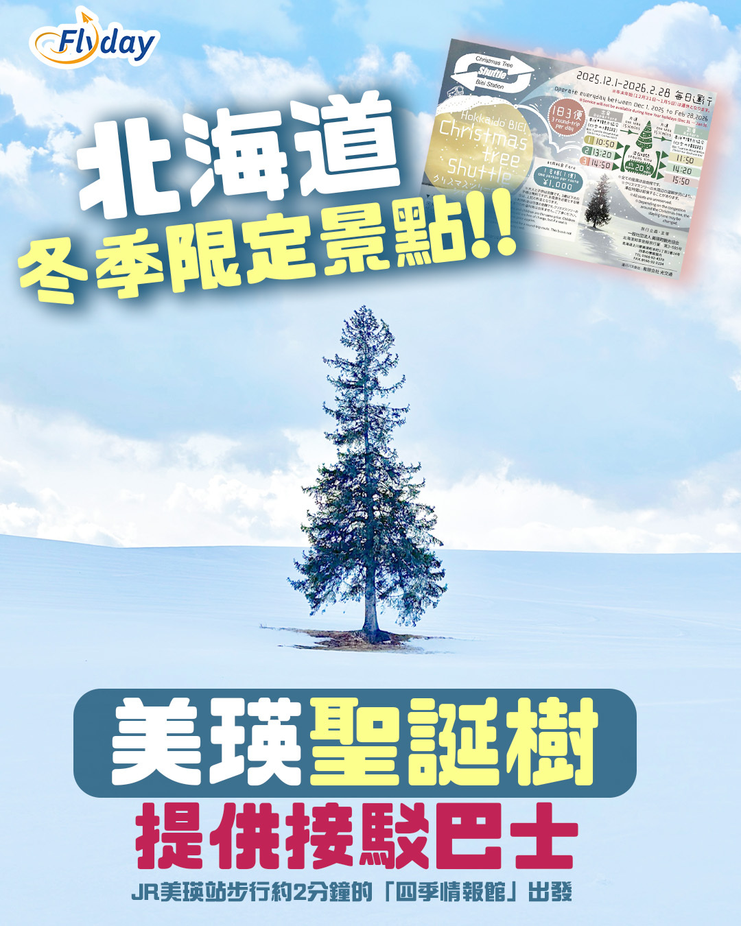 美瑛聖誕樹