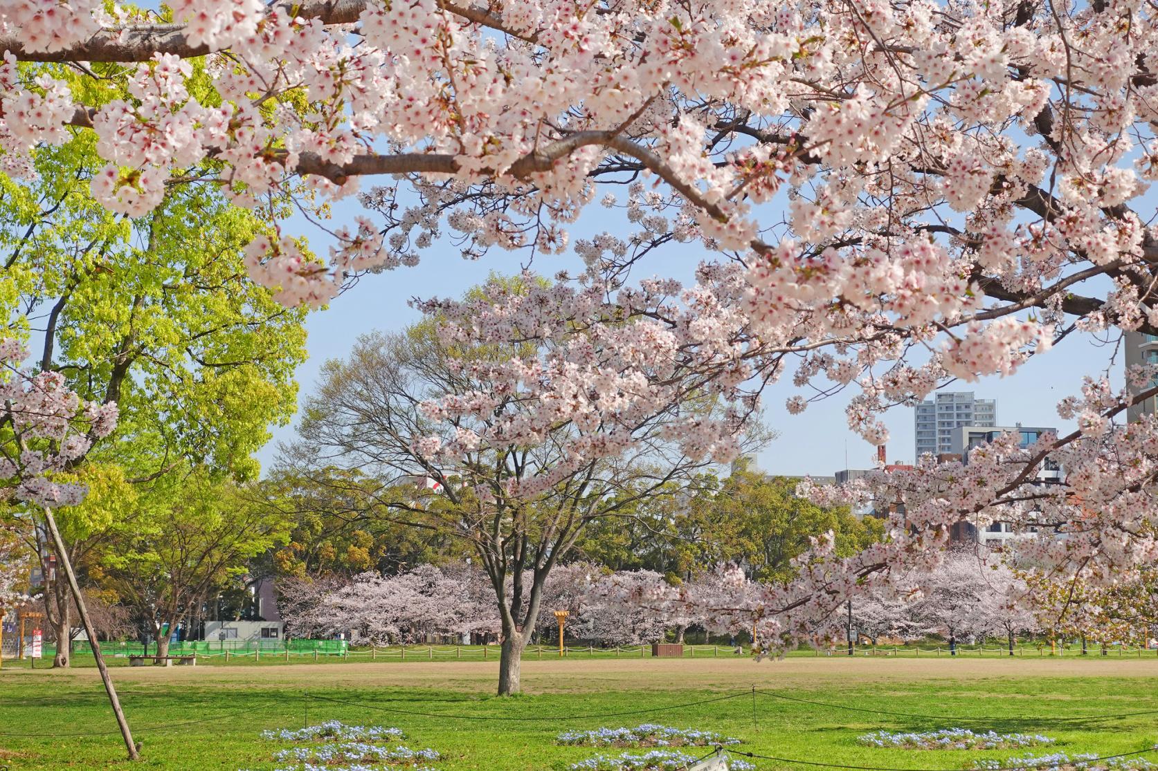 大濠公園