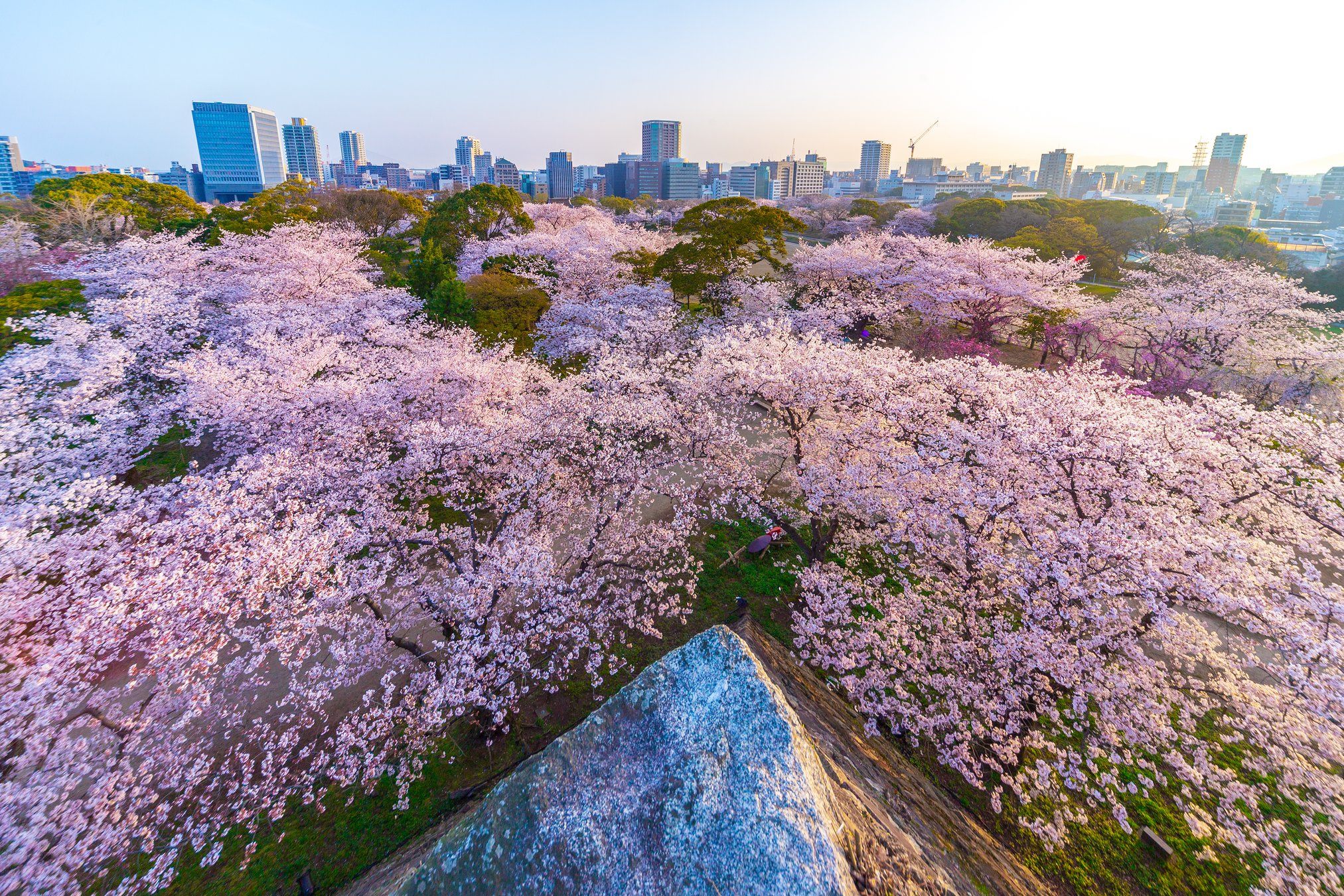 舞鶴公園