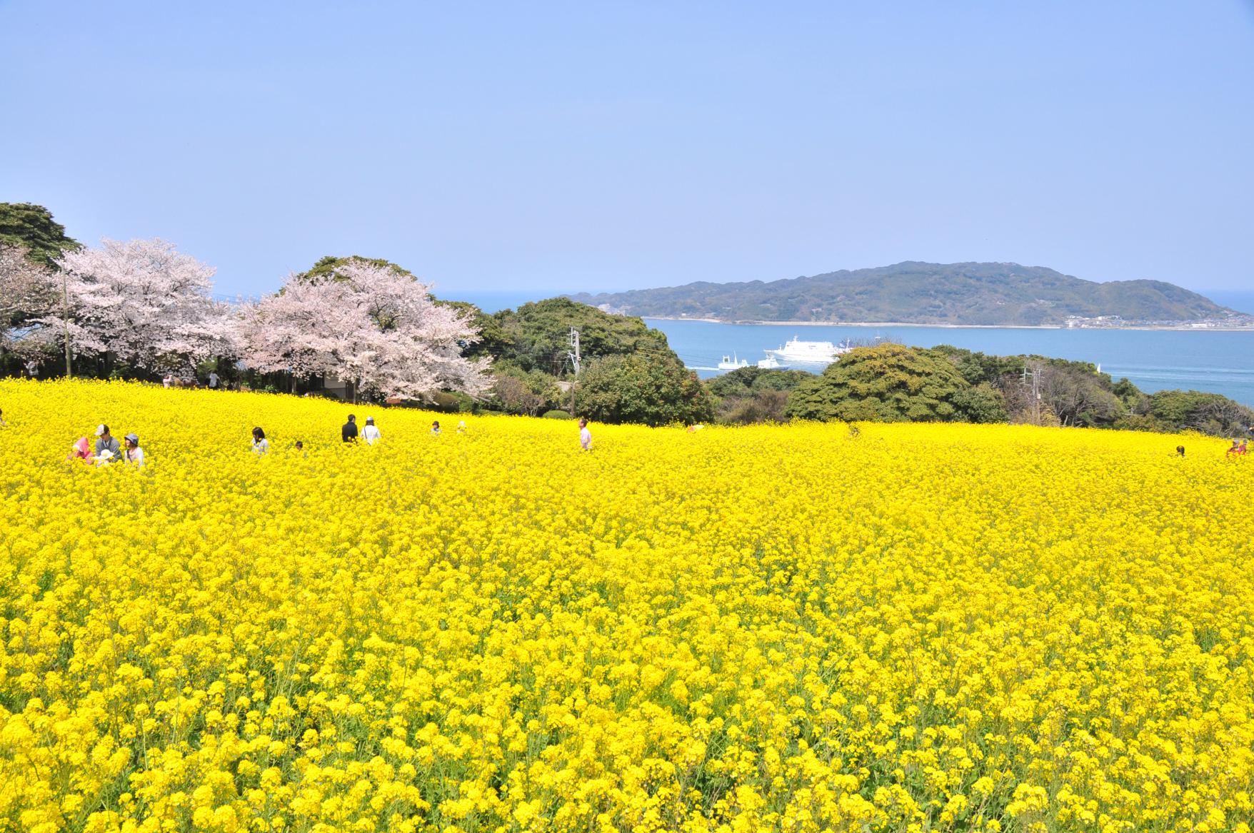 能古島自然公園