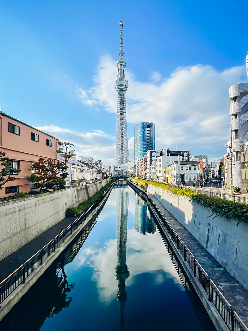 skytree