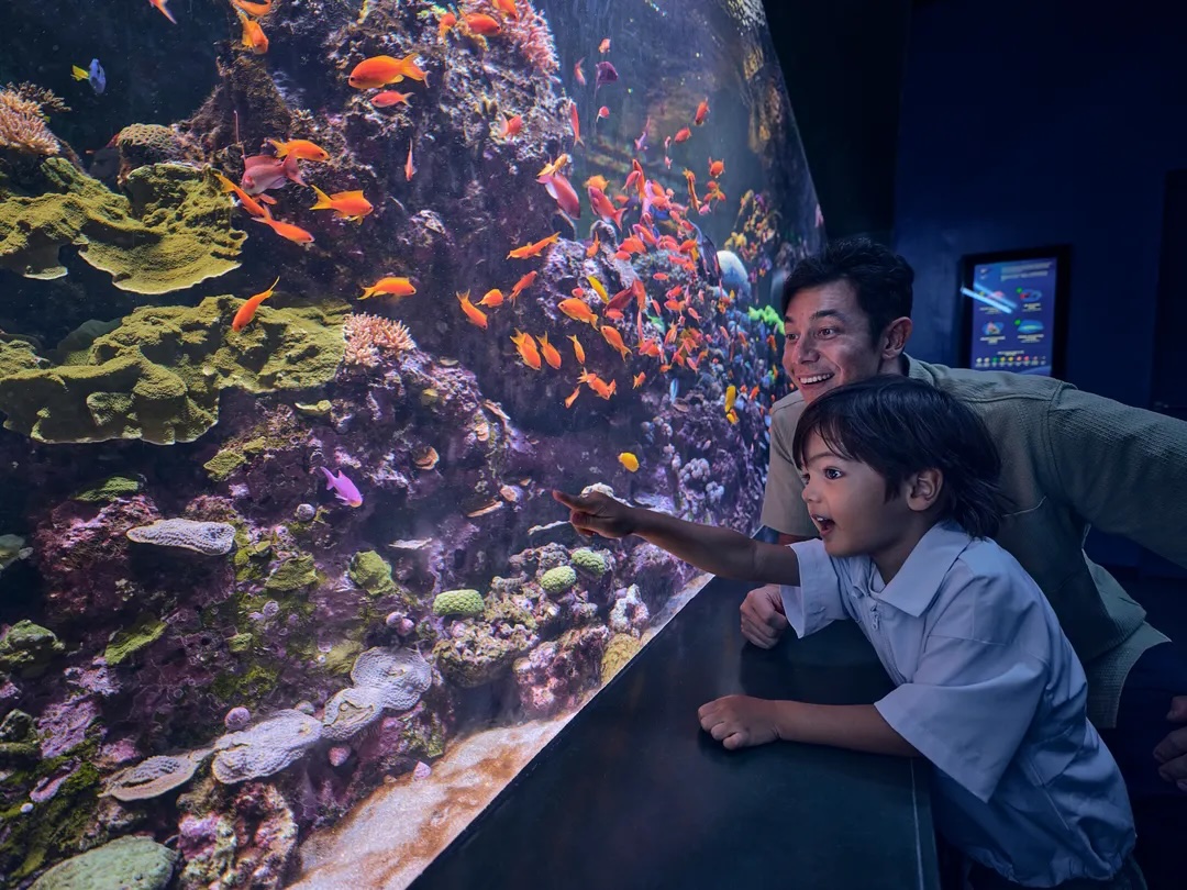 新加坡海洋生態館