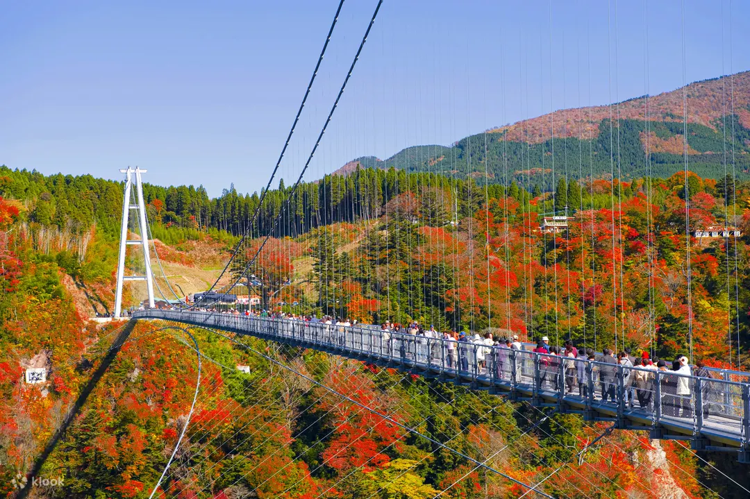 九重夢大吊橋