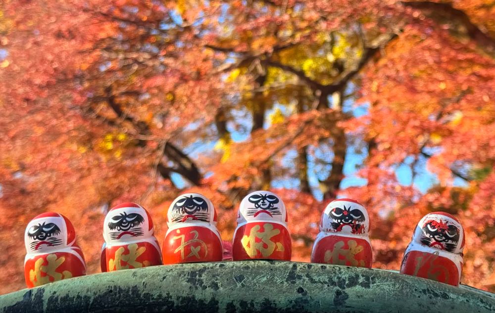 勝尾寺 楓葉