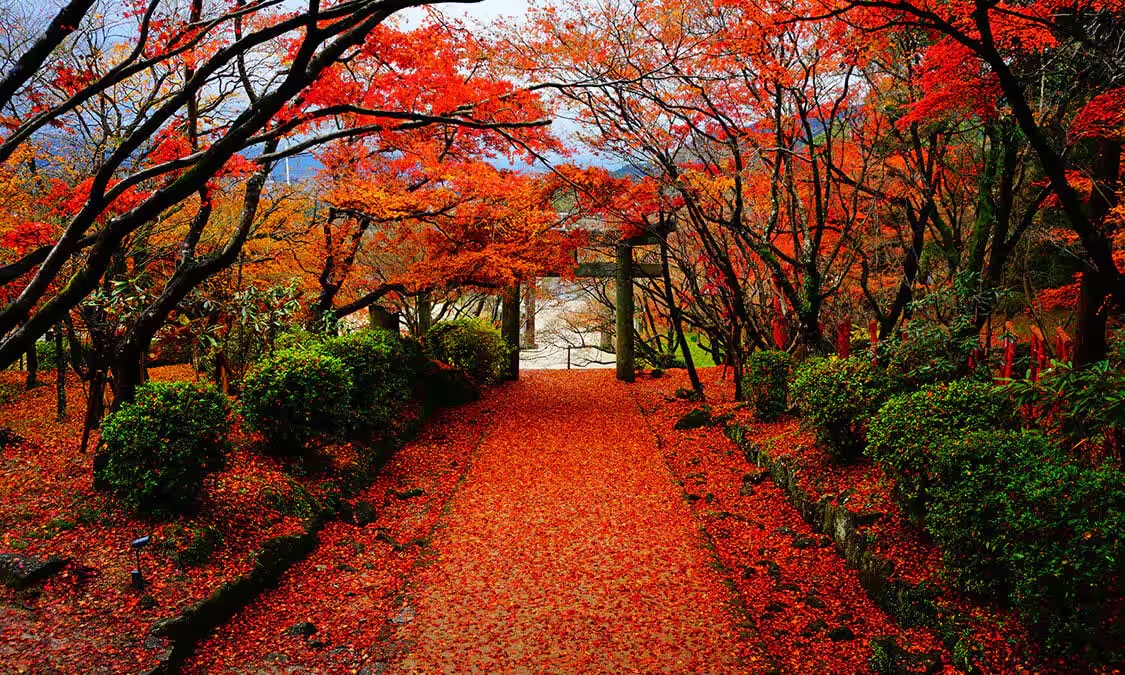 寶滿宮竈門神社
