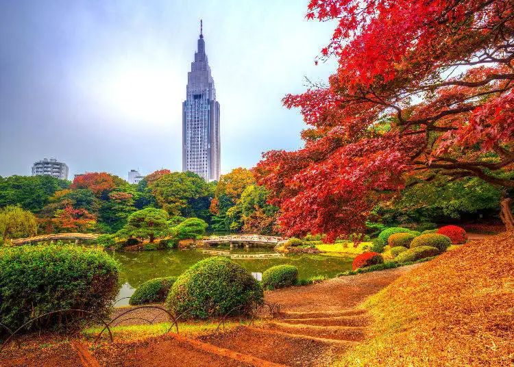 紅葉 新宿御苑