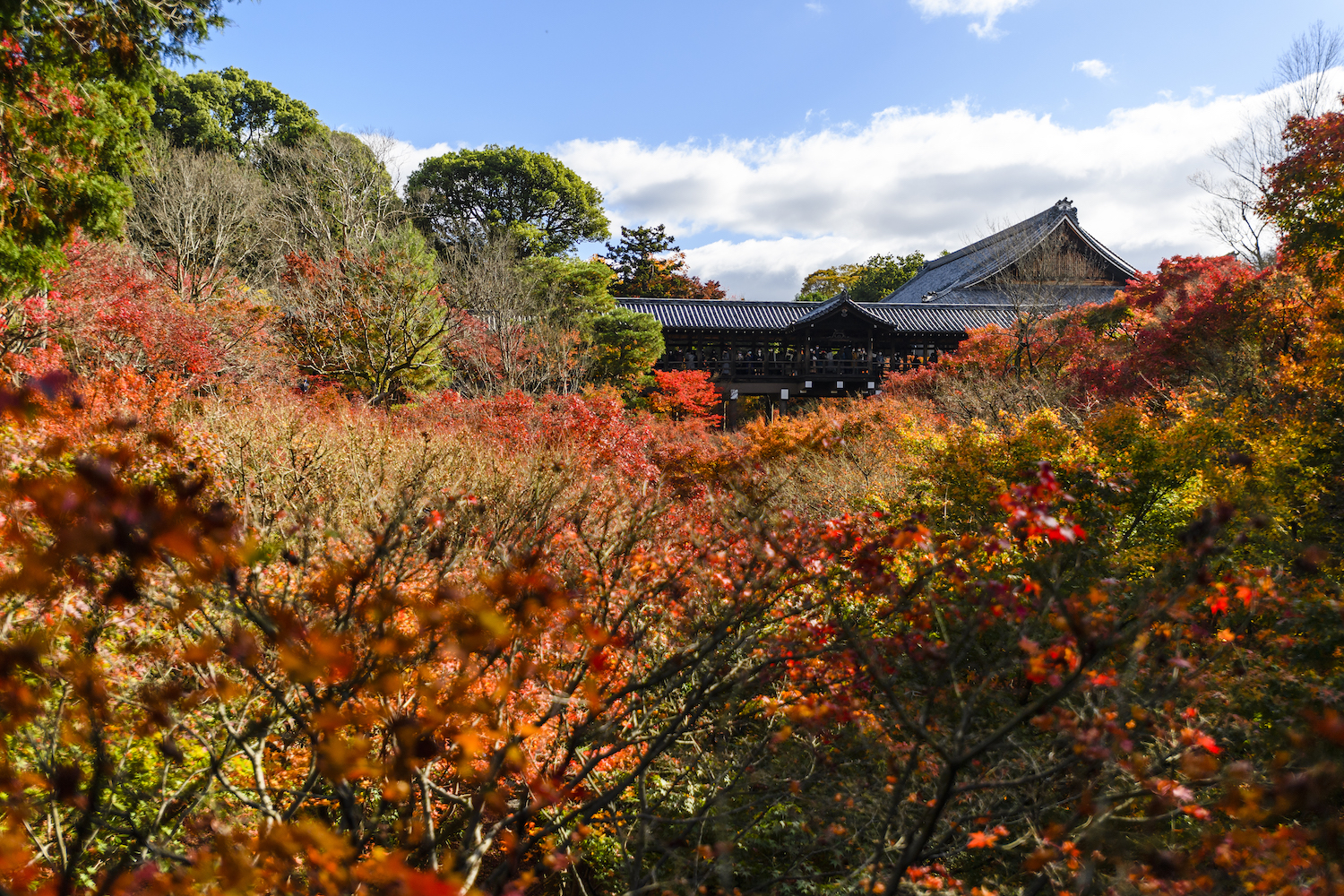 東福寺