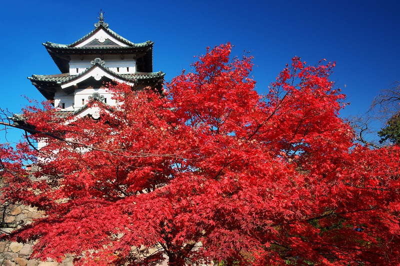 熊本城