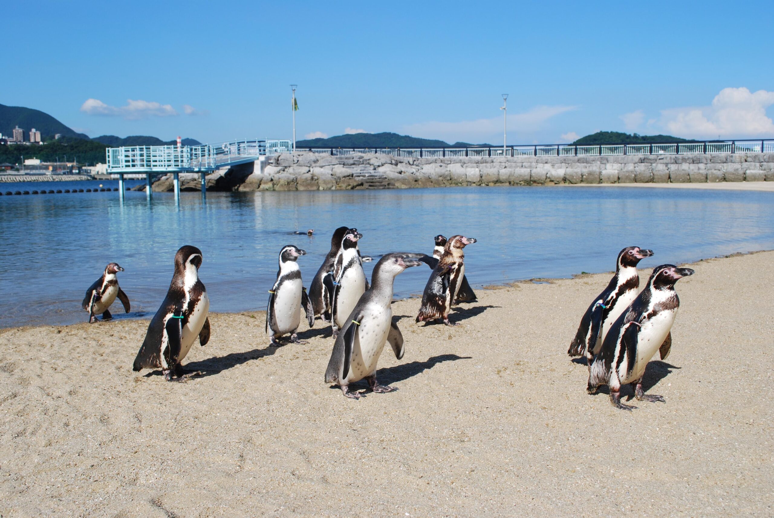 長崎企鵝水族館