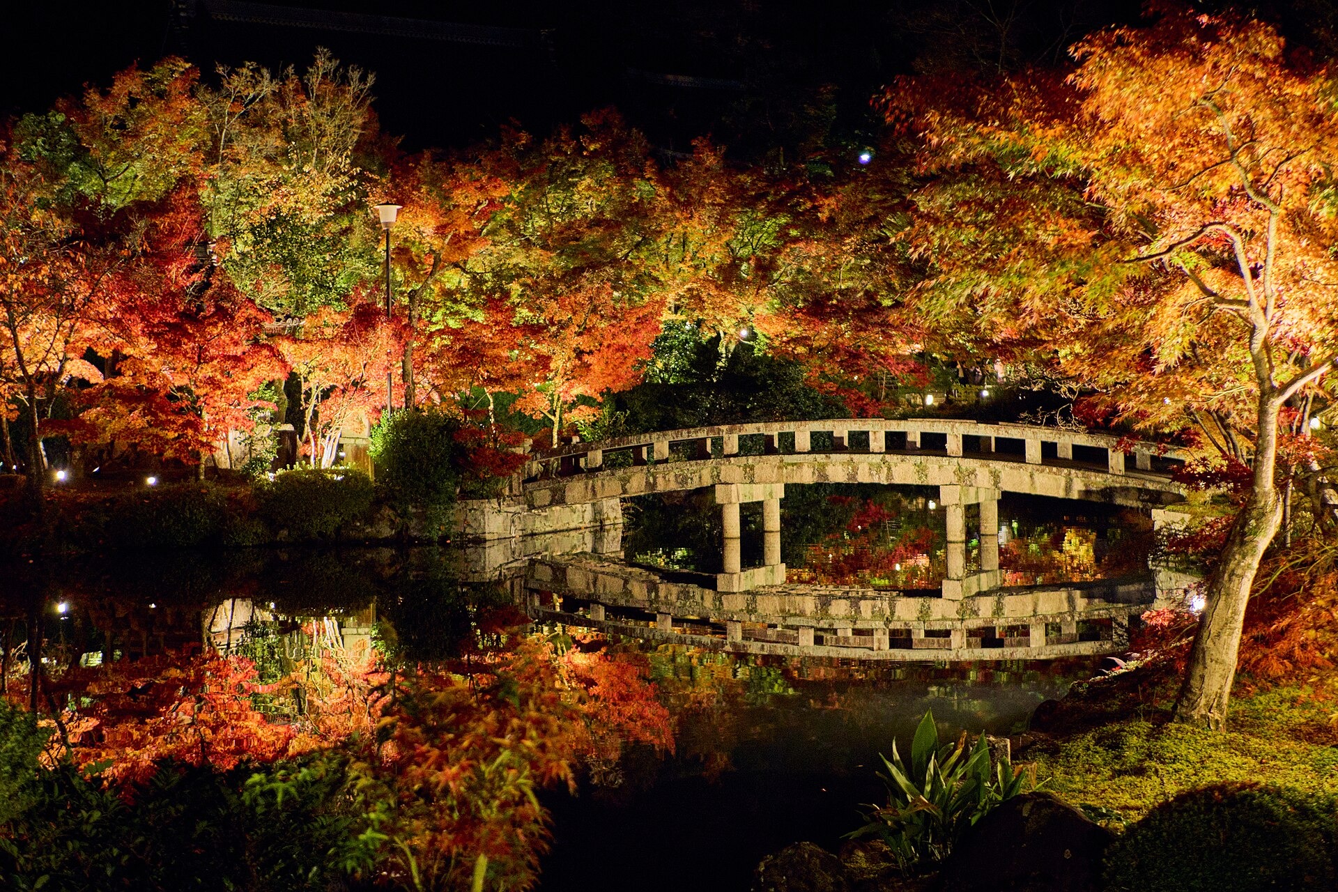 kyoto-eikando-night-reflection