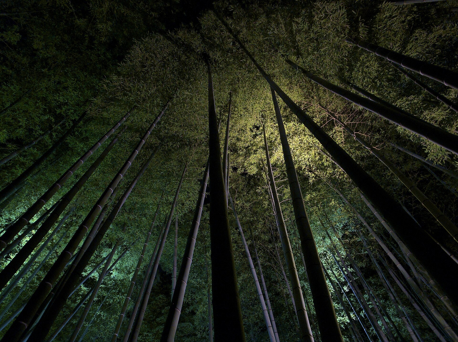 kyoto-kodaiji-bamboo-lightup