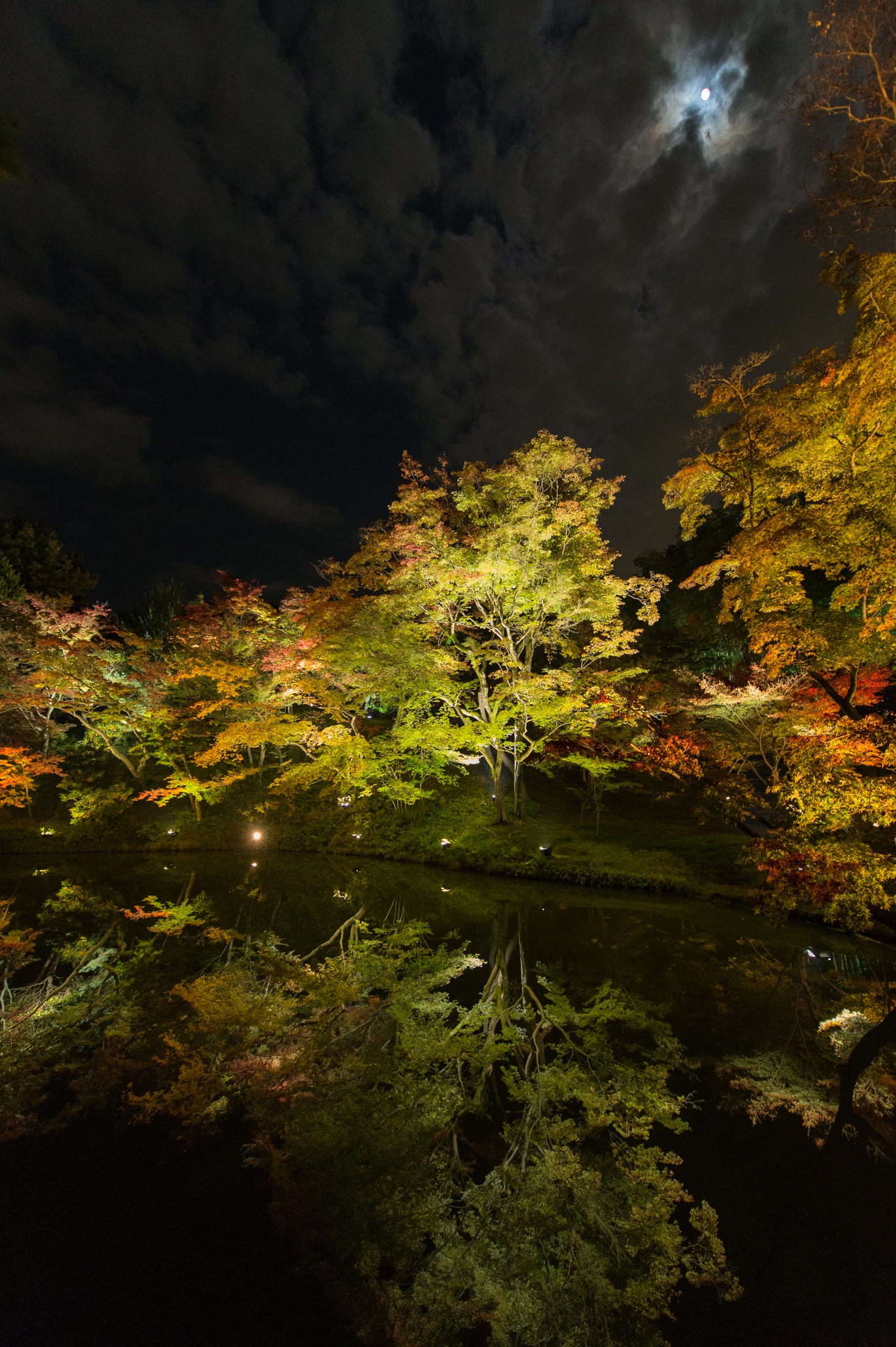 kyoto-kodaiji-night-reflection