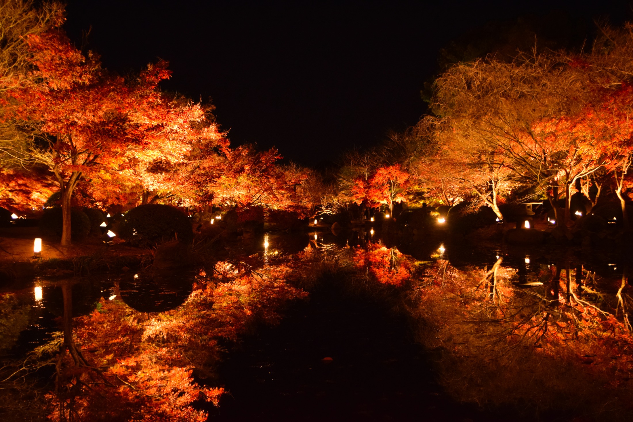 kyoto-toji-autumn-night-pond
